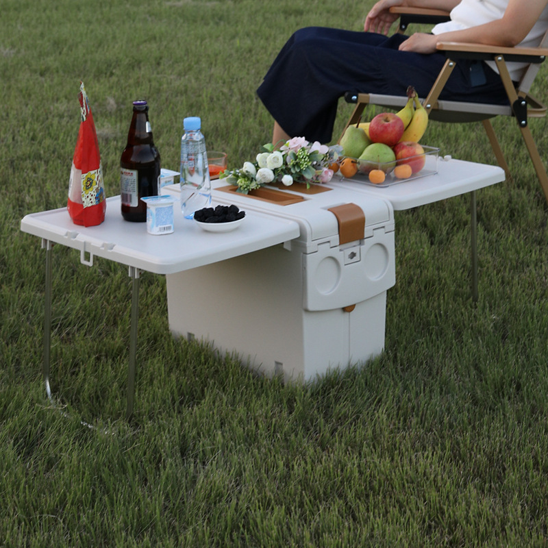2-in-1 Folding Camping Table C - Food Storage Not Plastic ulasan dan harga