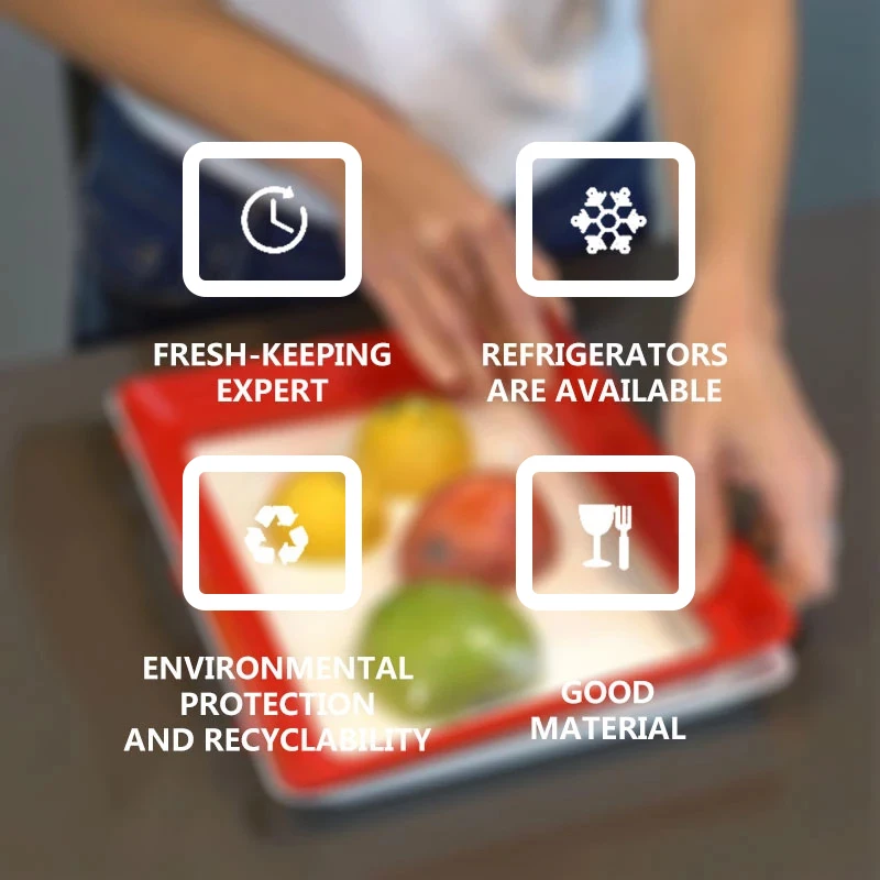 Food Preservation Tray PP Reus - Food Storage And Safety ulasan dan harga