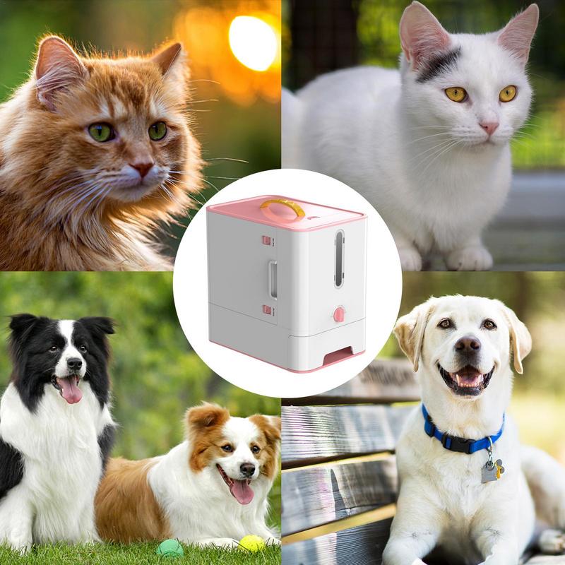 Pet Feeder Box Feeding Bowl Ca - Food Storage And Safety ulasan dan harga