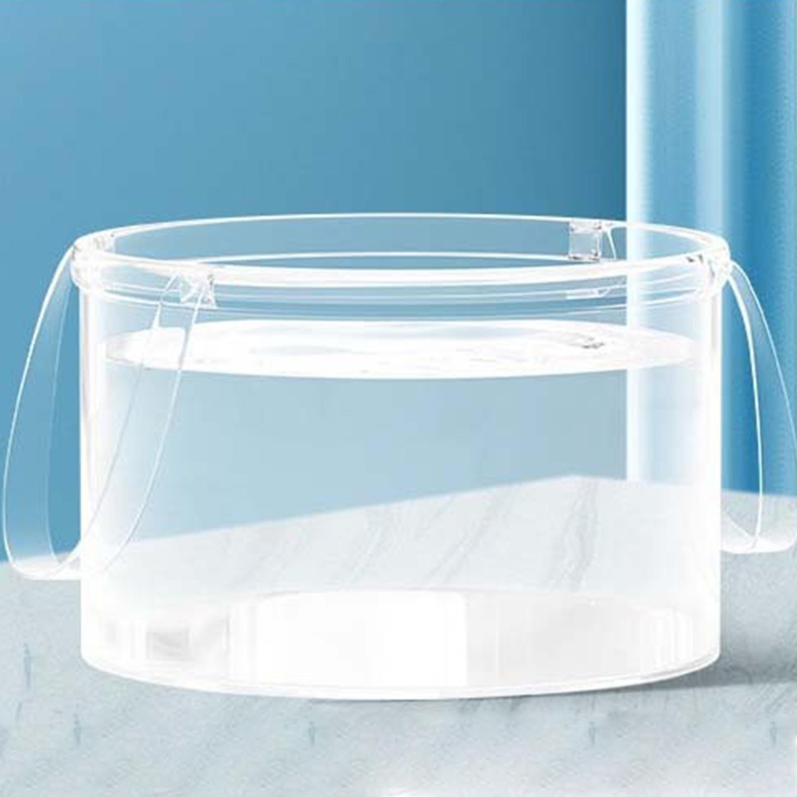 Clear Fruit Basket Food Storag - Food Storage Not Plastic ulasan dan harga