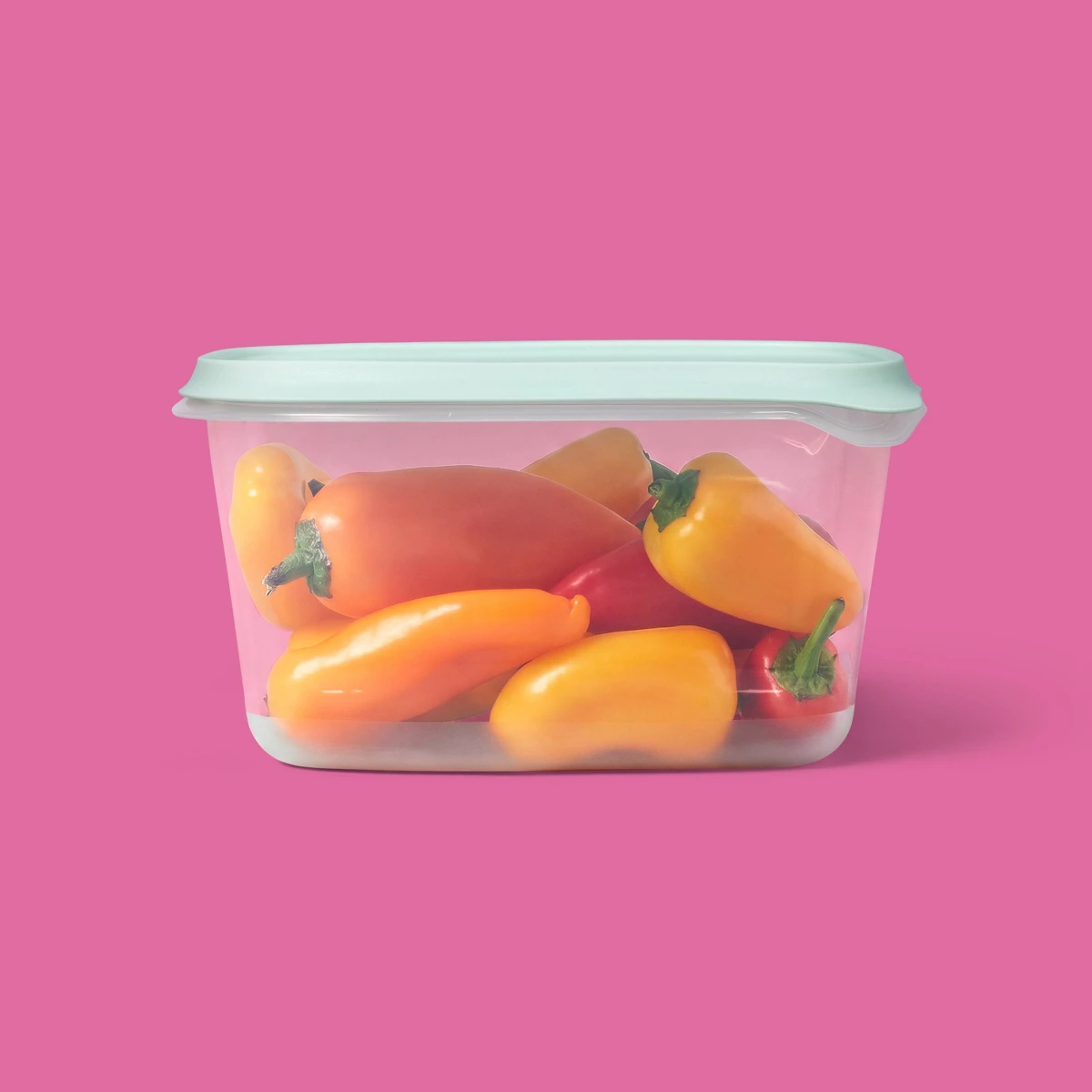 2026 New 2 Pack 48oz Large Rec - Food Storage Freezer Containers ulasan dan harga
