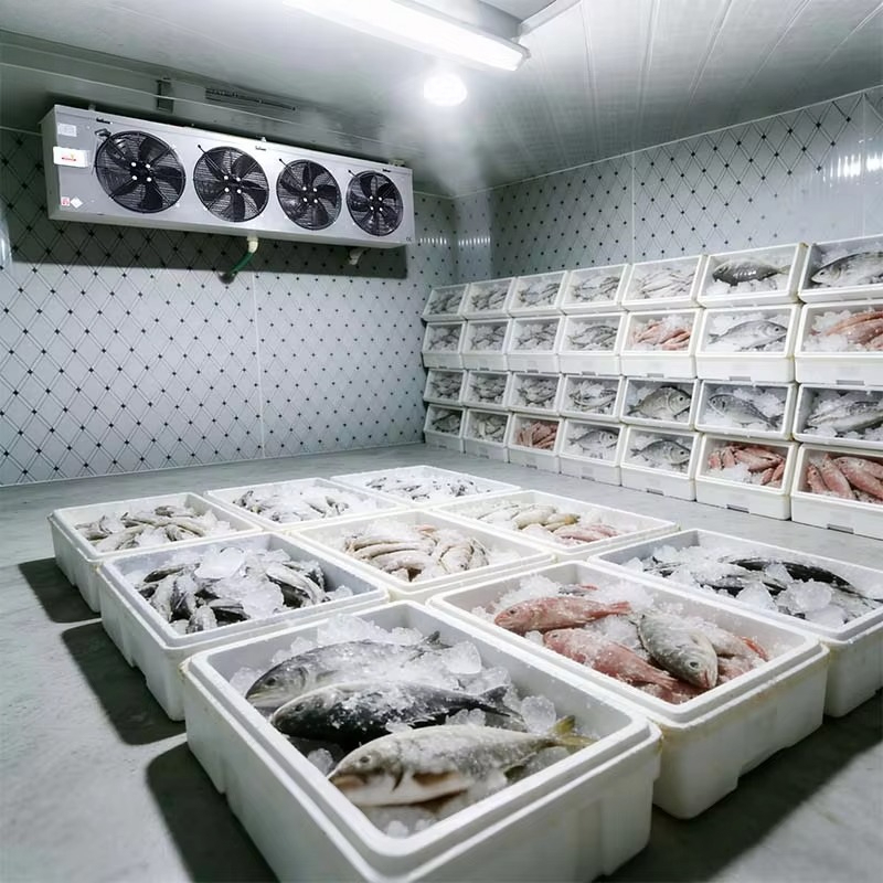 Customized Food Grade Cold Sto - Food Storage And Safety ulasan dan harga